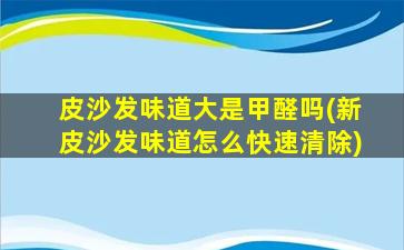 皮沙发味道大是甲醛吗(新皮沙发味道怎么快速清除)
