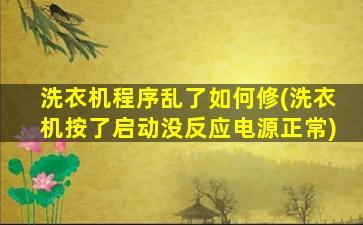 洗衣机程序乱了如何修(洗衣机按了启动没反应电源正常)