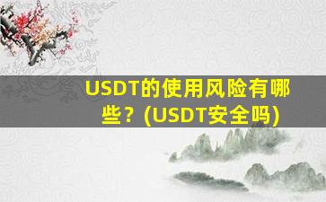 USDT的使用风险有哪些？(USDT安全吗)