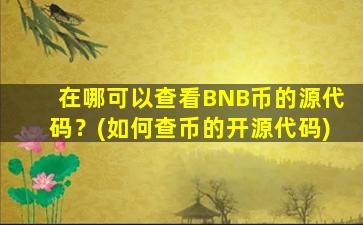 在哪可以查看BNB币的源代码？(如何查币的开源代码)