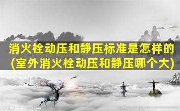 消火栓动压和静压标准是怎样的(室外消火栓动压和静压哪个大)
