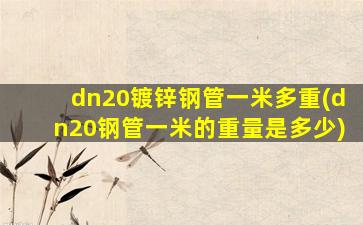 dn20镀锌钢管一米多重(dn20钢管一米的重量是多少)