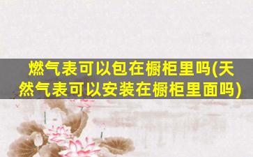 燃气表可以包在橱柜里吗(天然气表可以安装在橱柜里面吗)