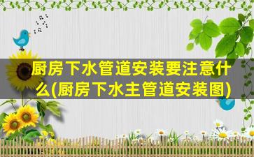厨房下水管道安装要注意什么(厨房下水主管道安装图)