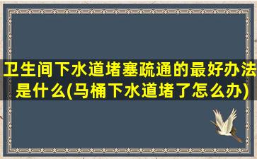 卫生间下水道堵塞疏通的最好办法是什么(马桶下水道堵了怎么办)
