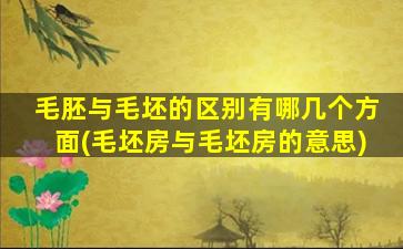 毛胚与毛坯的区别有哪几个方面(毛坯房与毛坯房的意思)