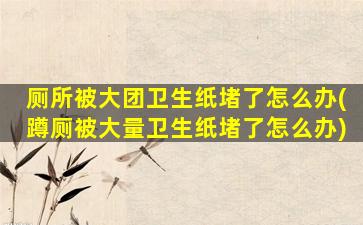 厕所被大团卫生纸堵了怎么办(蹲厕被大量卫生纸堵了怎么办)