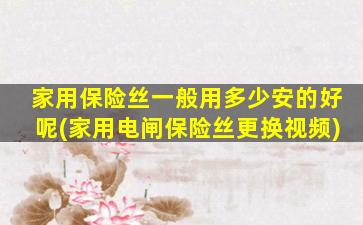 家用保险丝一般用多少安的好呢(家用电闸保险丝更换视频)
