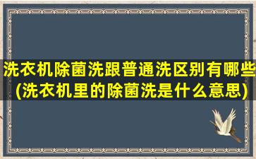 洗衣机除菌洗跟普通洗区别有哪些(洗衣机里的除菌洗是什么意思)