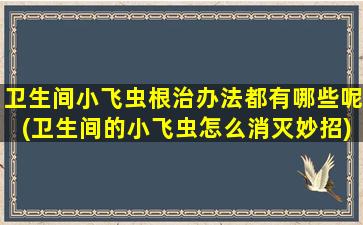 卫生间小飞虫根治办法都有哪些呢(卫生间的小飞虫怎么消灭妙招)