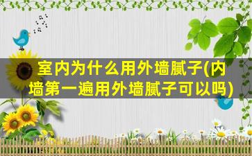 室内为什么用外墙腻子(内墙第一遍用外墙腻子可以吗)
