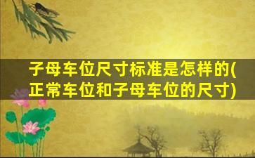 子母车位尺寸标准是怎样的(正常车位和子母车位的尺寸)
