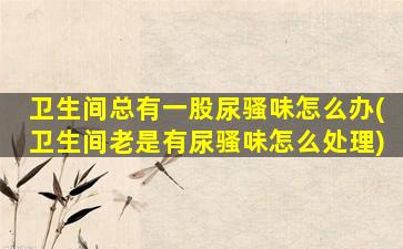 卫生间总有一股尿骚味怎么办(卫生间老是有尿骚味怎么处理)