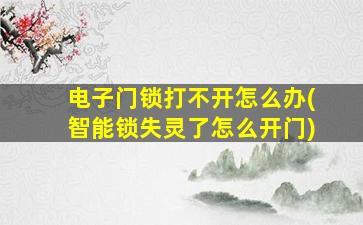 电子门锁打不开怎么办(智能锁失灵了怎么开门)