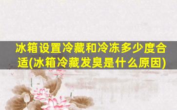 冰箱设置冷藏和冷冻多少度合适(冰箱冷藏发臭是什么原因)