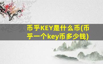 币乎KEY是什么币(币乎一个key币多少钱)