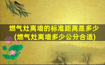 燃气灶离墙的标准距离是多少(燃气灶离墙多少公分合适)