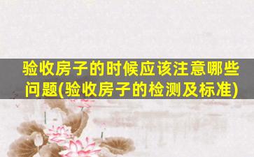 验收房子的时候应该注意哪些问题(验收房子的检测及标准)