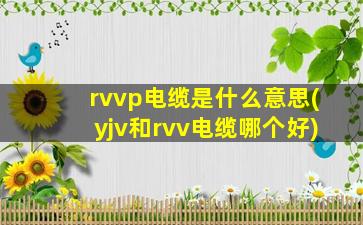 rvvp电缆是什么意思(yjv和rvv电缆哪个好)