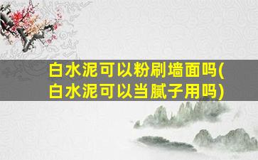 白水泥可以粉刷墙面吗(白水泥可以当腻子用吗)