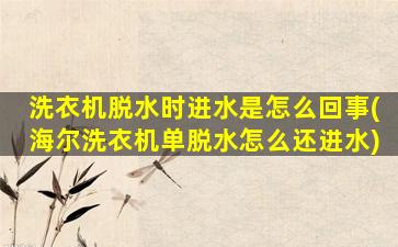 洗衣机脱水时进水是怎么回事(海尔洗衣机单脱水怎么还进水)