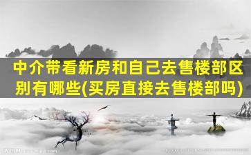 中介带看新房和自己去售楼部区别有哪些(买房直接去售楼部吗)