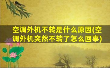 空调外机不转是什么原因(空调外机突然不转了怎么回事)
