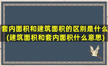 套内面积和建筑面积的区别是什么(建筑面积和套内面积什么意思)