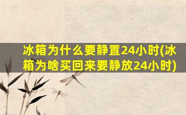 冰箱为什么要静置24小时(冰箱为啥买回来要静放24小时)