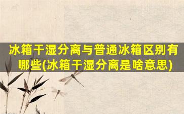 冰箱干湿分离与普通冰箱区别有哪些(冰箱干湿分离是啥意思)