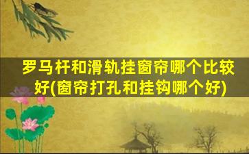 罗马杆和滑轨挂窗帘哪个比较好(窗帘打孔和挂钩哪个好)
