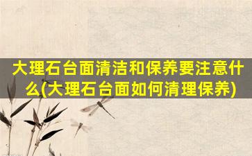 大理石台面清洁和保养要注意什么(大理石台面如何清理保养)