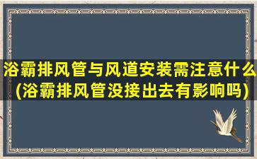 浴霸排风管与风道安装需注意什么(浴霸排风管没接出去有影响吗)