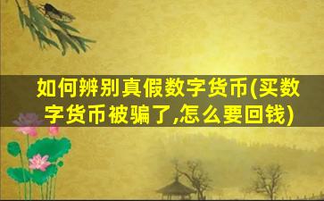 如何辨别真假数字货币(买数字货币被骗了,怎么要回钱)