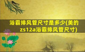 浴霸排风管尺寸是多少(美的zs12a浴霸排风管尺寸)