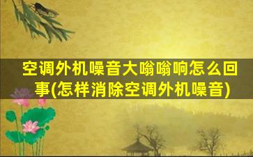 空调外机噪音大嗡嗡响怎么回事(怎样消除空调外机噪音)