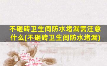不砸砖卫生间防水堵漏需注意什么(不砸砖卫生间防水堵漏)