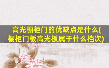 高光橱柜门的优缺点是什么(橱柜门板高光板属于什么档次)