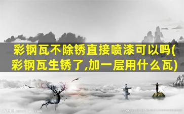 彩钢瓦不除锈直接喷漆可以吗(彩钢瓦生锈了,加一层用什么瓦)