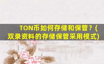 TON币如何存储和保管？(双录资料的存储保管采用模式)