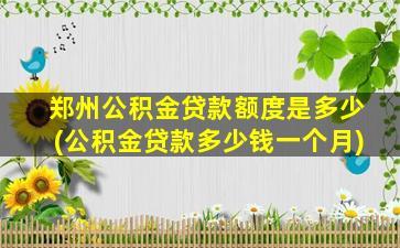 郑州公积金贷款额度是多少(公积金贷款多少钱一个月)
