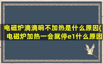 电磁炉滴滴响不加热是什么原因(电磁炉加热一会就停e1什么原因)