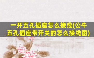 一开五孔插座怎么接线(公牛五孔插座带开关的怎么接线图)