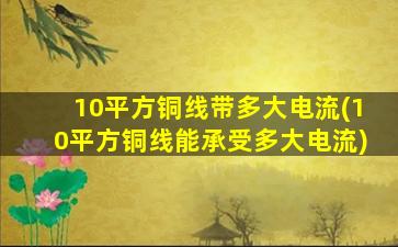 10平方铜线带多大电流(10平方铜线能承受多大电流)