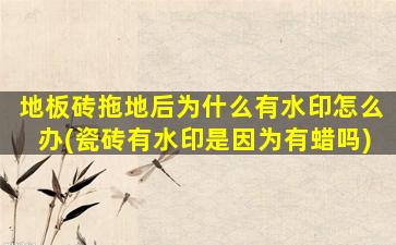 地板砖拖地后为什么有水印怎么办(瓷砖有水印是因为有蜡吗)