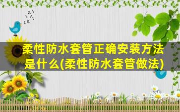 柔性防水套管正确安装方法是什么(柔性防水套管做法)