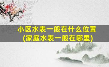 小区水表一般在什么位置(家庭水表一般在哪里)
