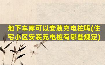 地下车库可以安装充电桩吗(住宅小区安装充电桩有哪些规定)