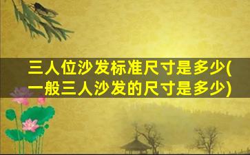 三人位沙发标准尺寸是多少(一般三人沙发的尺寸是多少)