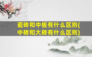 瓷砖和中板有什么区别(中砖和大砖有什么区别)